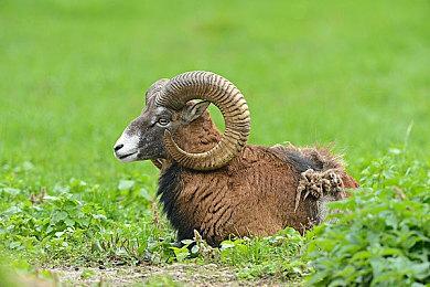 2022夏季游戏节预热视频公布 活动将于6月10日凌晨举办