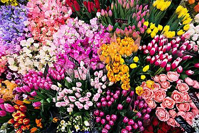 3DM速报：《赛博朋克2077》资料片就一个？腾讯增持育碧股份